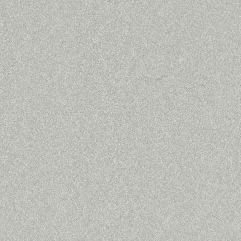 Casual Texture Pool Side Gray Carpet