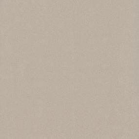 Textured Saxony Candle Wax Beige/Tan Carpet