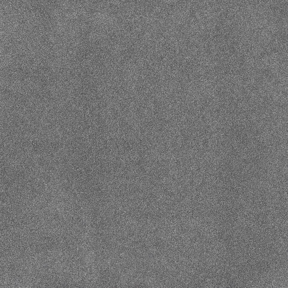 Textured Saxony Potential Purple Carpet