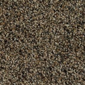 Textured Saxony Adobe Brown Carpet