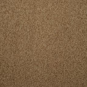 Casual Texture Trumpet Beige/Tan Carpet