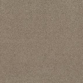 Casual Texture Almond Branch Beige/Tan Carpet