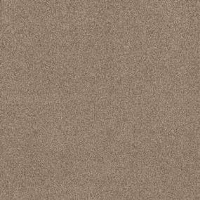 Casual Texture Almond Branch Beige/Tan Carpet