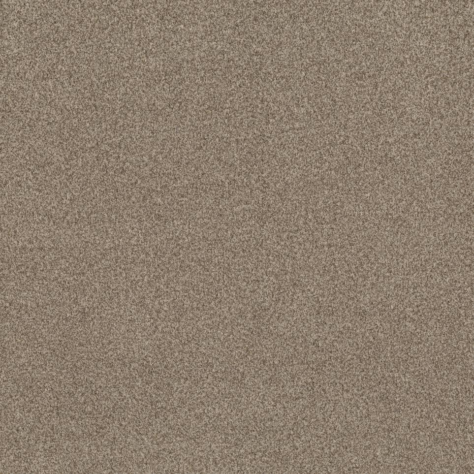 Casual Texture Almond Branch Beige/Tan Carpet