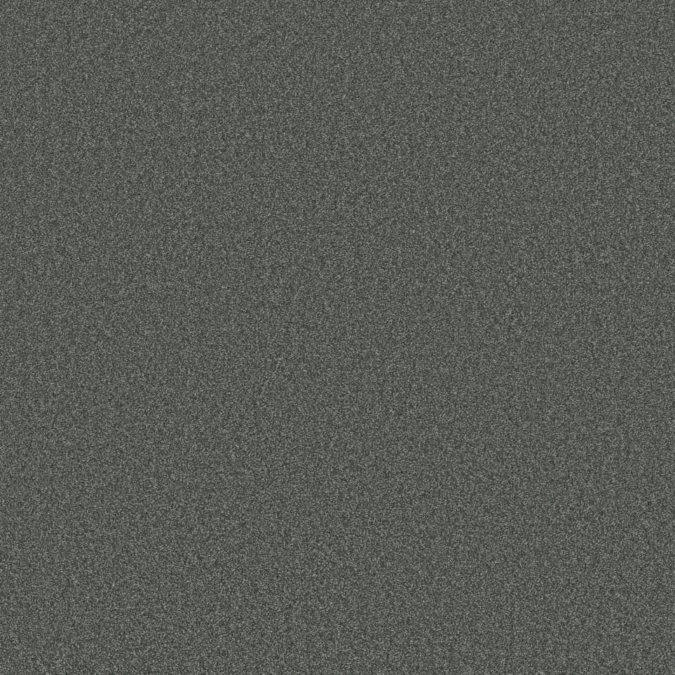 Textured Saxony Minty Gray Carpet