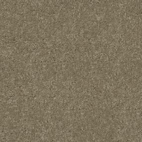 Plush Saxony Raymonds Road Beige/Tan Carpet