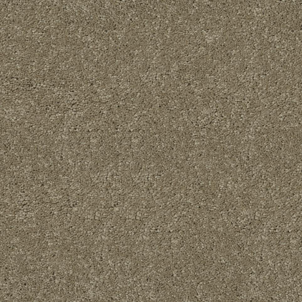 Plush Raymonds Road Beige/Tan Carpet