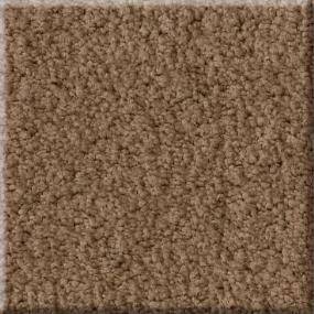 Plush Kenya Brown Carpet