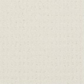 Pattern Pure White White Carpet