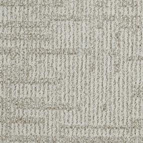 Pattern Diverse Gray Carpet