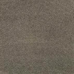 Textured Saxony Captivation Brown Carpet