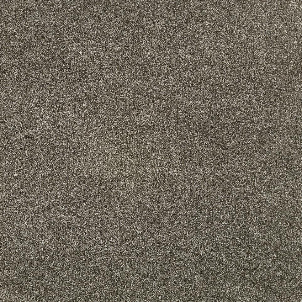 Texture Captivation Brown Carpet