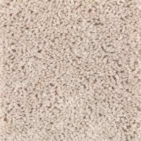 Textured Saxony Biscotti  Beige/Tan Carpet