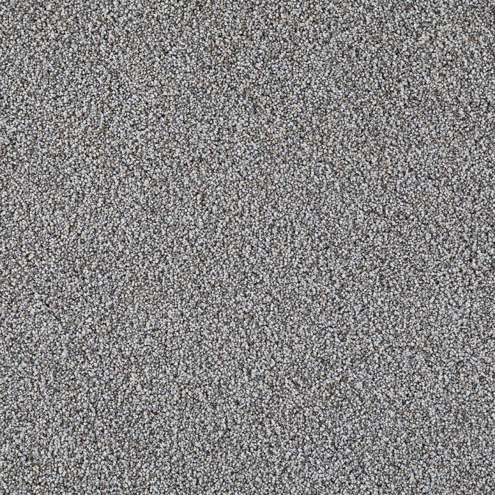 Cut Pile Mellow Gray Carpet