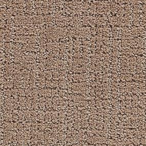 Pattern Mansion Brown Carpet