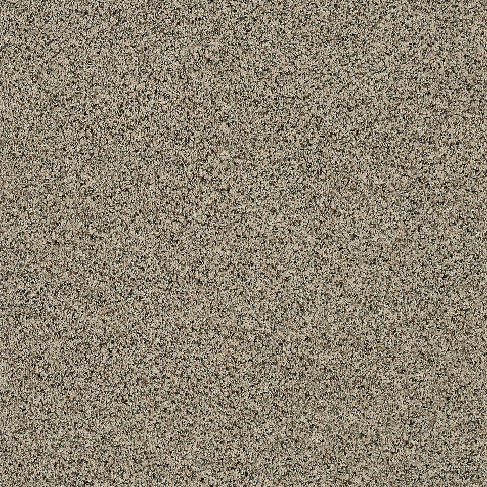 Texture Sahara Buff Beige/Tan Carpet