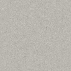 Texture Mineral Gray Carpet