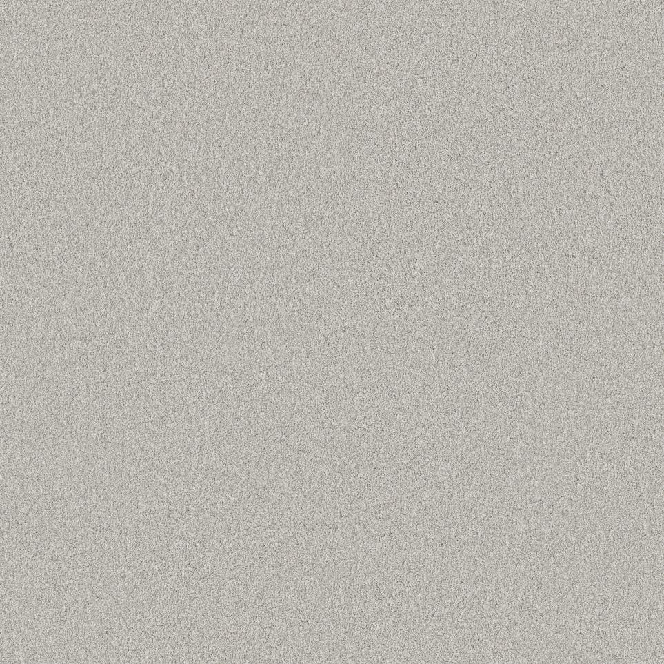 Texture Mineral Gray Carpet