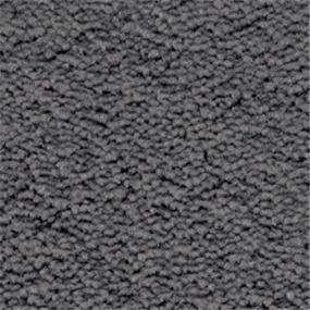 Plush Kohl Gray Carpet