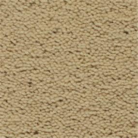 Plush Reed Beige/Tan Carpet