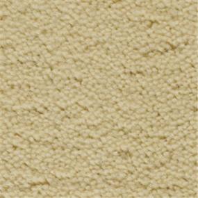 Plush Shortbread Beige/Tan Carpet