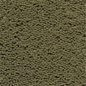 Plush Caper Green Carpet