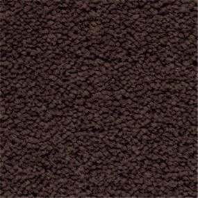 Plush Chicory Brown Carpet