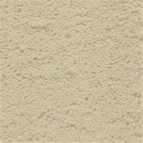 Plush Chalk Beige/Tan Carpet
