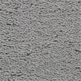 Plush Regatta Gray Carpet