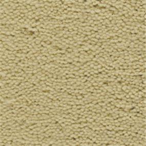 Plush Sandbox Beige/Tan Carpet
