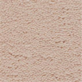 Plush Apricot Ice Beige/Tan Carpet
