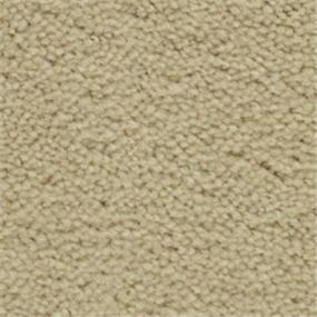 Plush Kraft Paper Beige/Tan Carpet