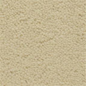Plush Seashell Beige/Tan Carpet