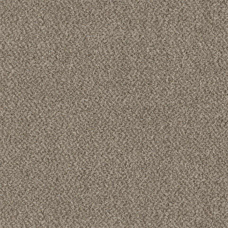 Textured Saxony Quiet Cove Beige/Tan Carpet