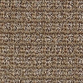 Pattern Sandcastle Beige/Tan Carpet