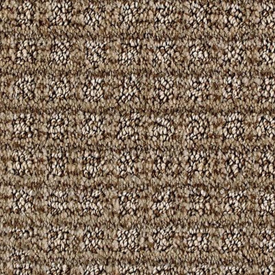 Pattern Sandcastle Beige/Tan Carpet