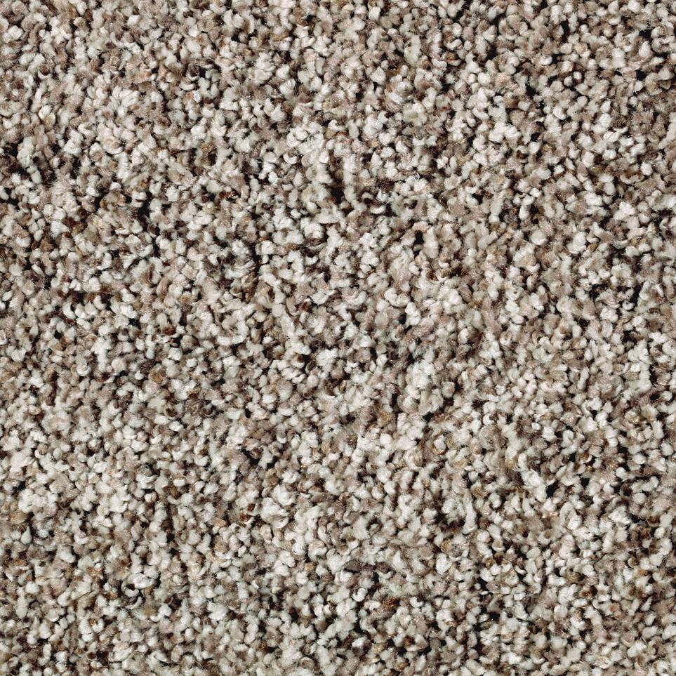 Texture Tundra Beige/Tan Carpet