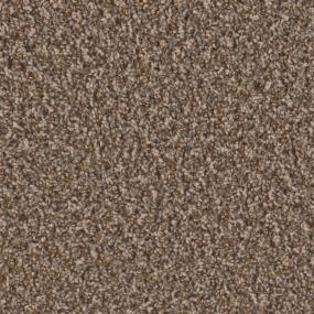 Textured Saxony Pelican Hill Brown Carpet