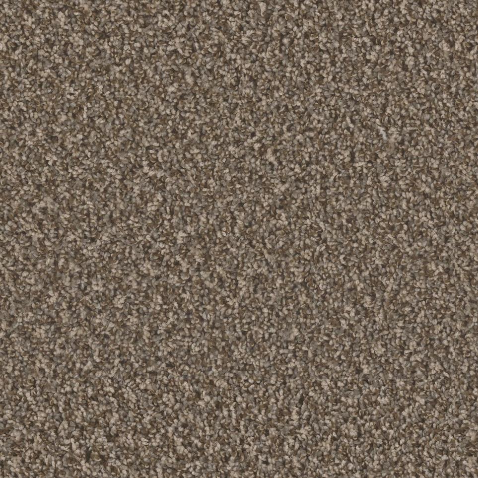 Texture Pelican Hill Brown Carpet