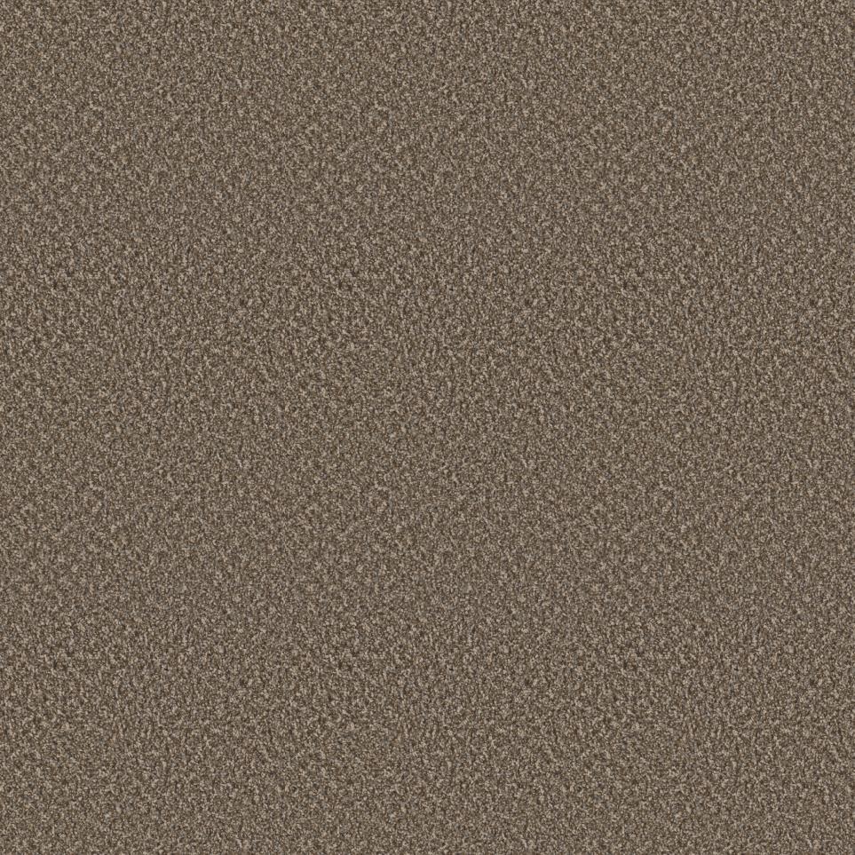 Texture Pelican Hill Brown Carpet