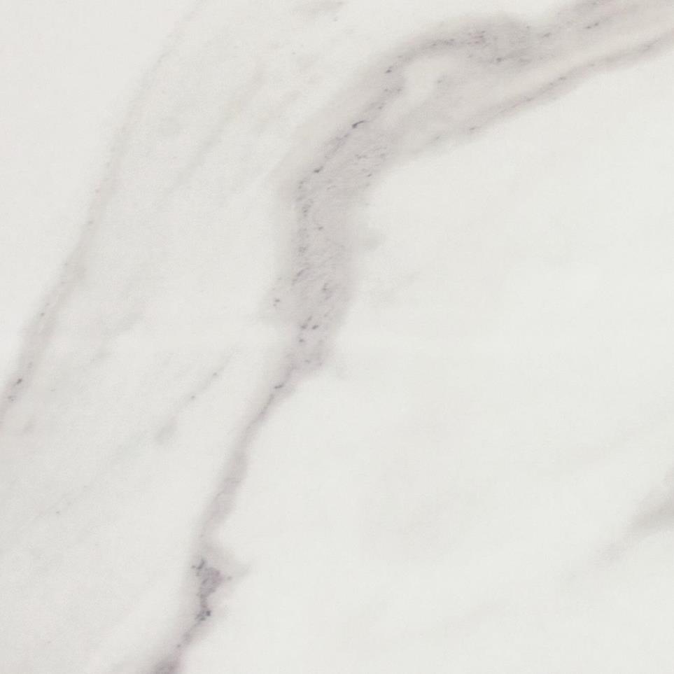 Tile Studio Carrara Matte White Tile