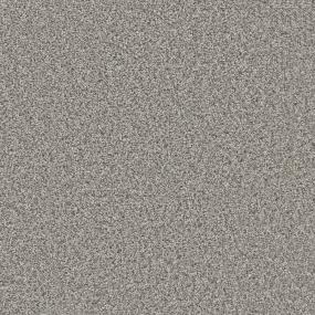 Texture Timely Gray Carpet