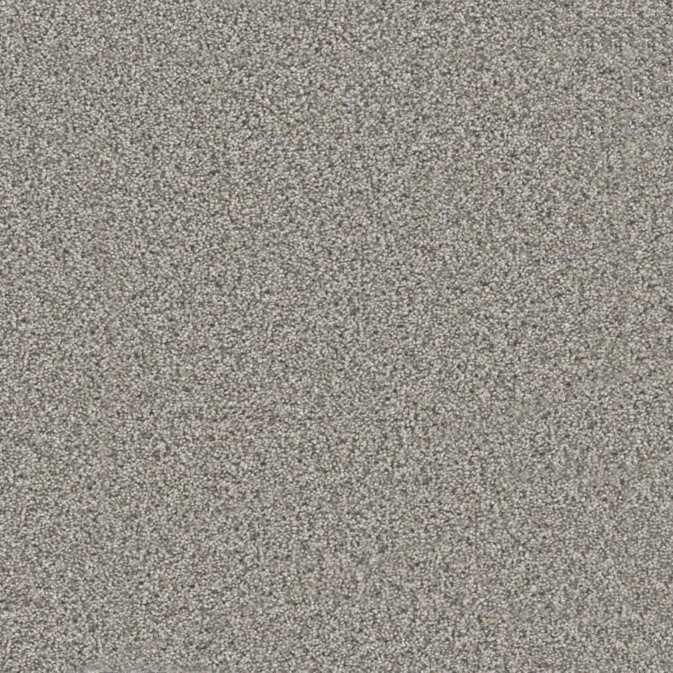 Textured Saxony Timely Gray Carpet