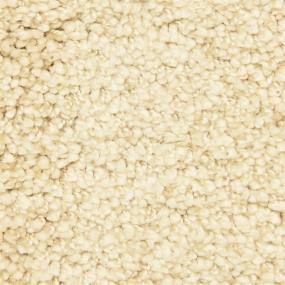 Casual Texture Paradise Beige/Tan Carpet