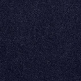 Cut Pile Admiral Black Carpet