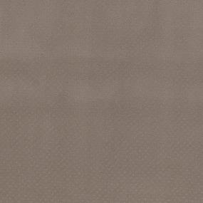 Pattern Chestnut Beige/Tan Carpet