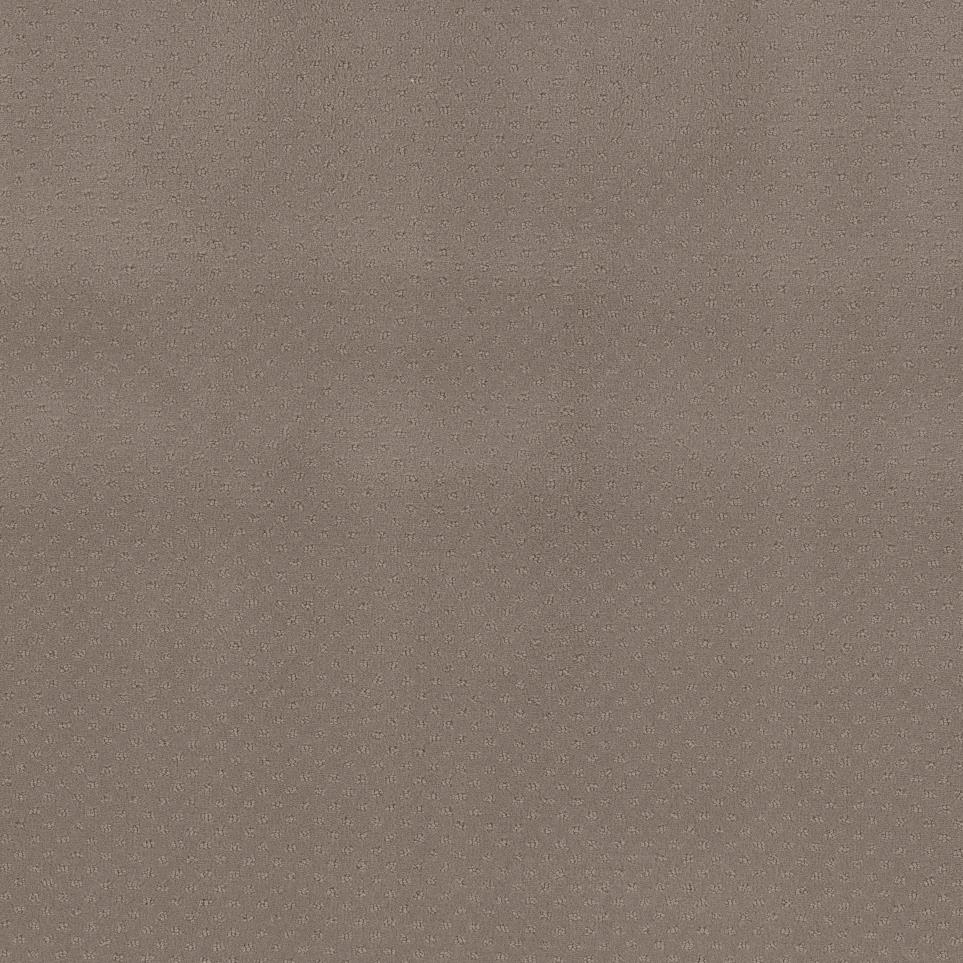 Pattern Chestnut Beige/Tan Carpet