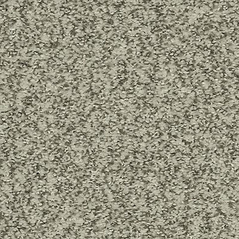 Textured Saxony Raven Gray Carpet