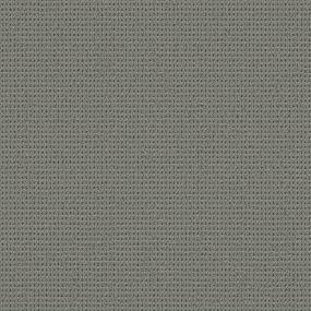 Loop Secret Escape Gray Carpet