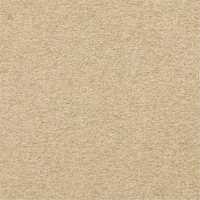 Casual Texture Secluded Beige/Tan Carpet